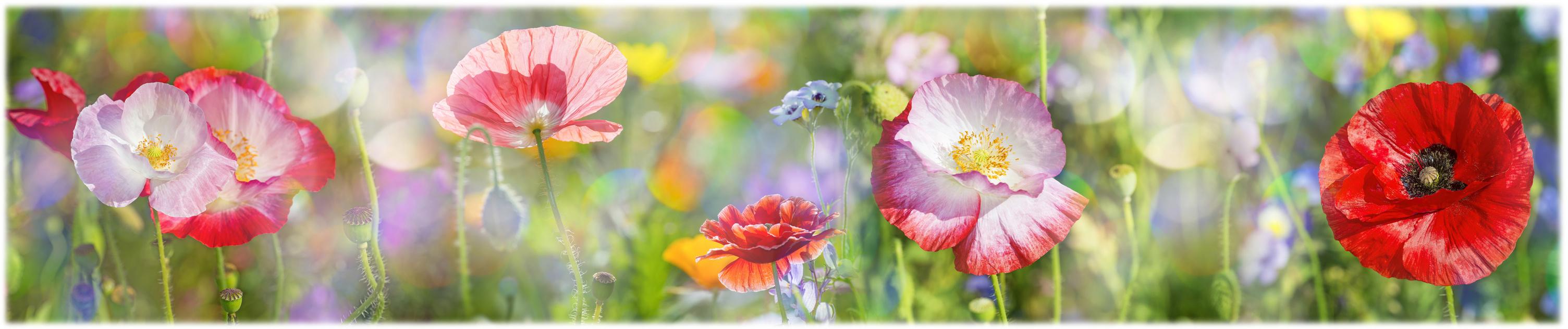 Blumen Fotolia 140693595 M