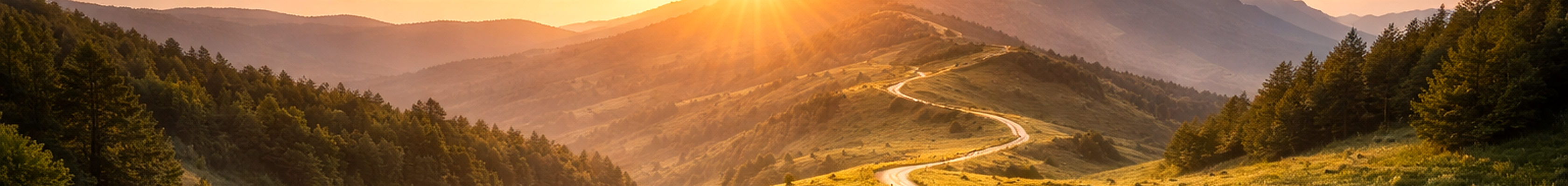 Sonnendurchflutete Landschaft – Weg zum Ziel